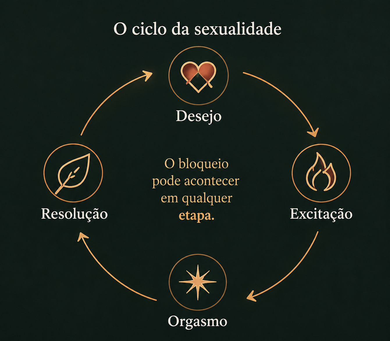 Ciclo da sexualidade com desejo, excitação, orgasmo e resolução